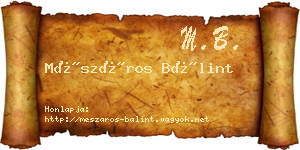 Mészáros Bálint névjegykártya