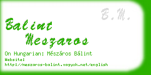 balint meszaros business card